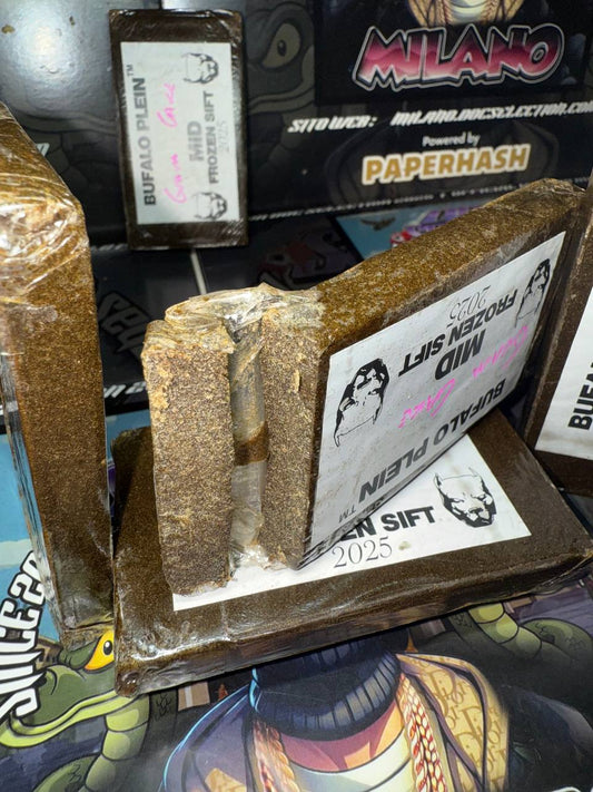 𝙁𝙧𝙤𝙯𝙚𝙣  𝙎𝙞𝙛𝙩 𝙈𝙞𝙙 𝘽𝙪𝙛𝙖𝙡𝙤 𝙋𝙡𝙚𝙞𝙣 - 𝙂𝙐𝘼𝙑𝘼 𝘾𝘼𝙆𝙀